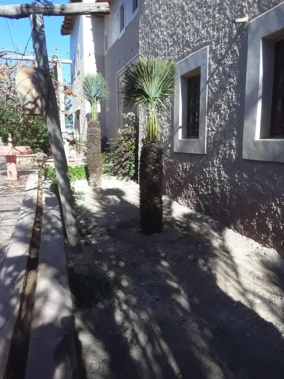 Kasbah Timdaf Hotel Демнат Екстериор снимка