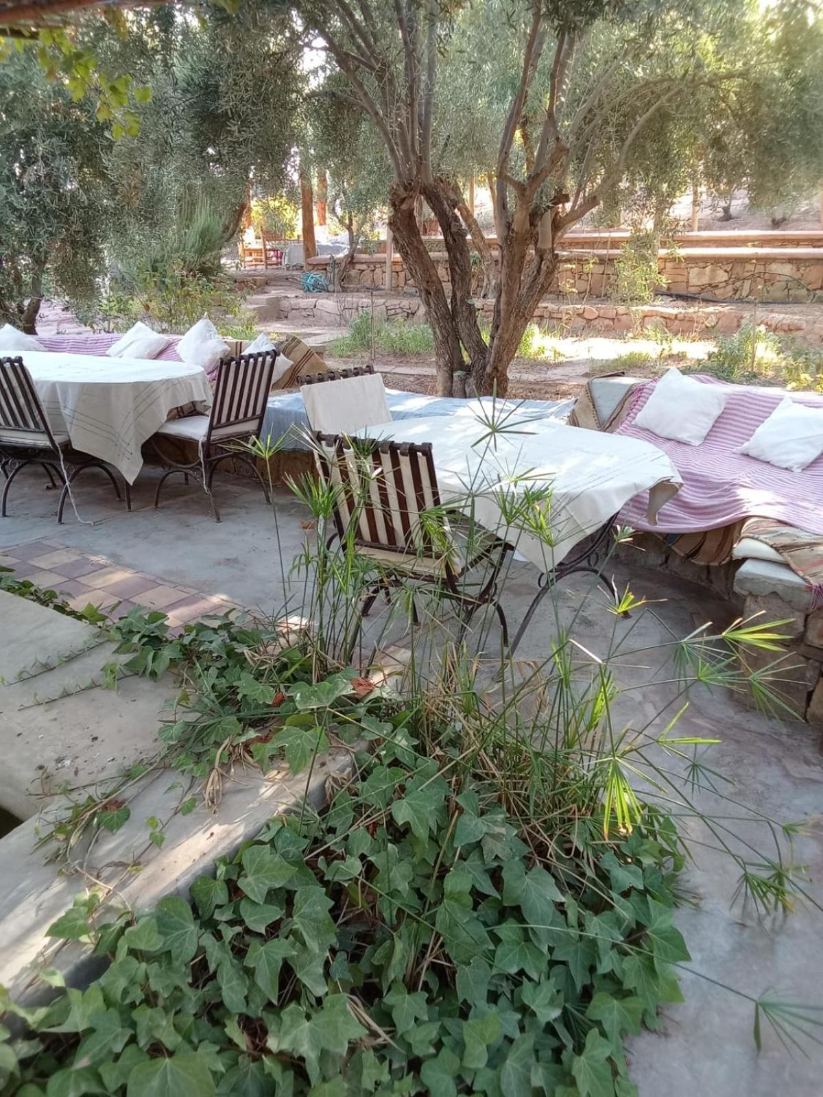 Kasbah Timdaf Hotel Демнат Екстериор снимка
