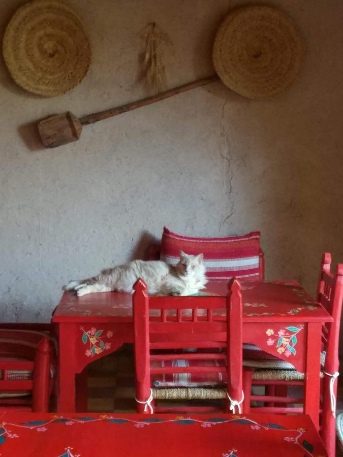 Kasbah Timdaf Hotel Демнат Екстериор снимка